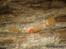 泉州大葉黃楊木地板批發與供應指南